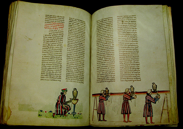 De Arte Venandi cum Avibus (De kunst van het jagen met vogels) is een 13e-eeuws geïllumineerd Latijns manuscript geschreven door keizer Frederik II. Het originele exemplaar is verloren gegaan bij de belegering van Parma in 1248. Een kopie die zijn zoon Manfred van de twee koloms 111 folia perkamenten codex had laten maken bevindt zich in de bibliotheek van het Vaticaan.