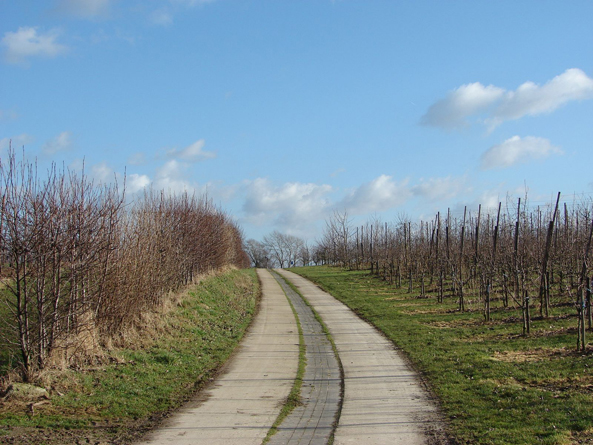 Overblijfsel van een Romeinse weg te Helshoven, omgeving Tongeren.