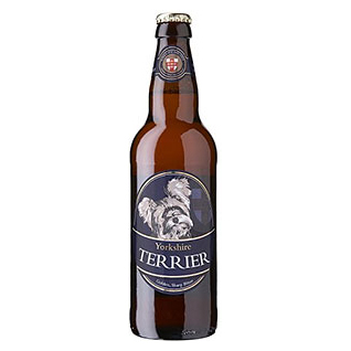 York Yorkshire Terrier