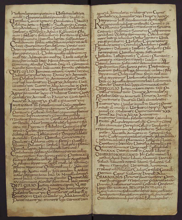 2 Bladzijden uit de 'Capitulare de villis', een belangrijk document dat inzicht gaf over het gevoerde economische beleid in de Karolingische periode.