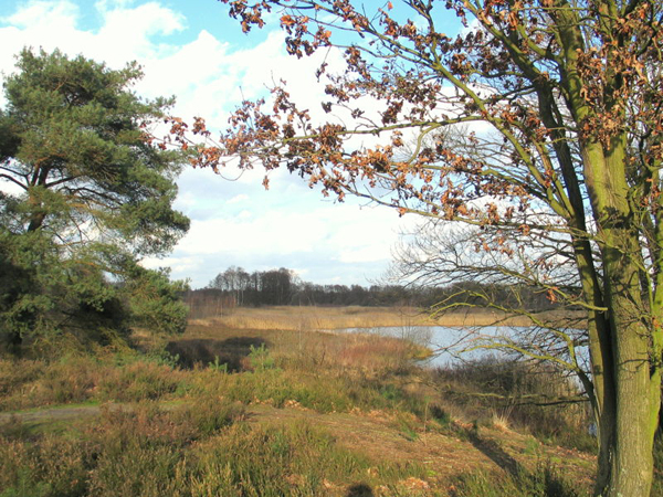 Natuurgebied "De Maten" te Diepenbeek