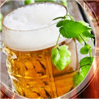 Hallesches Brauhaus Hallsch