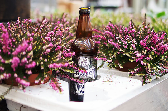 Het Schotse Heather Ale Fraoch is gemaakt naar een oud Pictisch recept, dat voor de smaak heide gebruikt in plaats van hop.