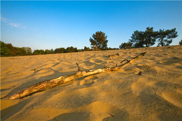 Duinengebied "In den Brand"