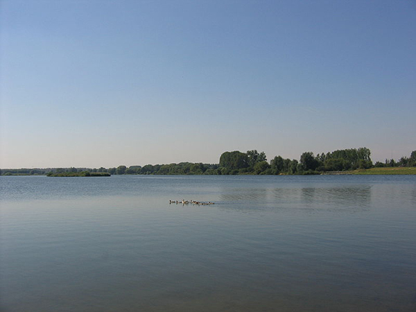 Het Schulensmeer is de grootste waterplas van Vlaanderen.