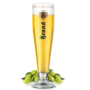Heineken Brand Urtyp