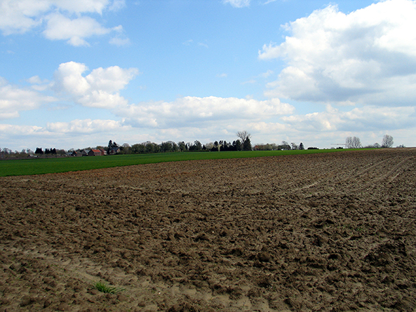 De Slag van Steps vond op 13 oktober 1213 bij Montenaken in de Belgische provincie Limburg plaats. De Stepsheuvel waar de slag plaatsvond, gelegen tussen Montenaken, Walshoutem en Cras-Avernas verleende zijn naam aan de veldslag.