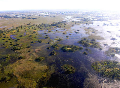 Okavango-delta