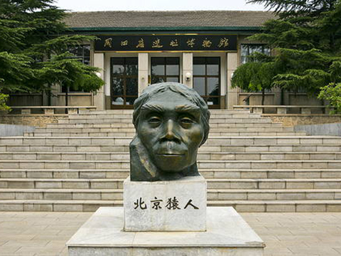 Pekingmens in Zhoukoudian