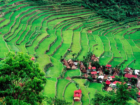 Rijstterrassen van de Filipijnse Cordilleras
