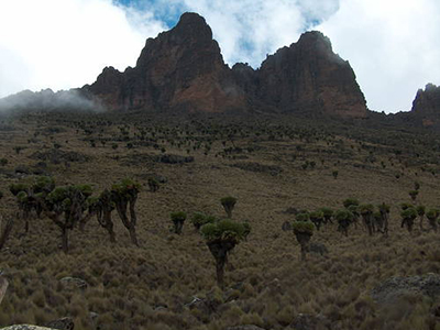 Nationaal Park Mount Kenya