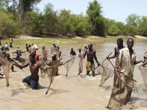 Niger - Nationaal Park W