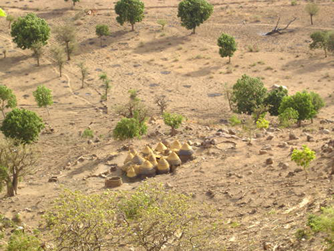 Nigeria - Cultuurlandschap Sukur