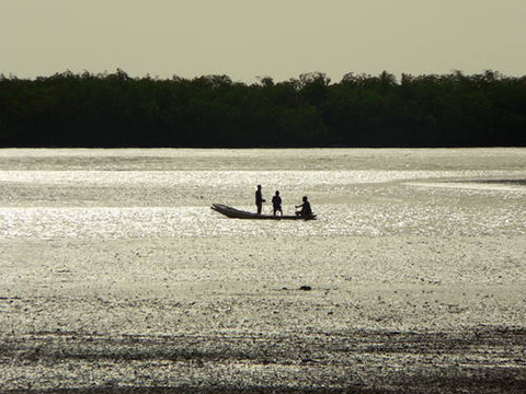 Senegal - Saloumdelta