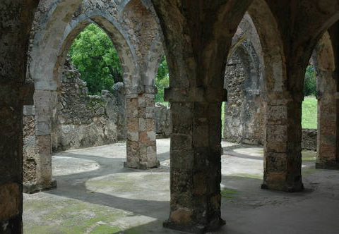 Tanzania - Wildreservaat Selous