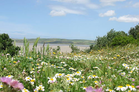 Tunesi� - Nationaal Park Ichkeul