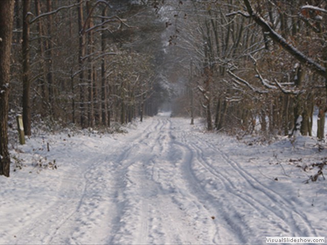 Winterwandeling - Foto 10