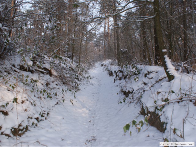 Winterwandeling - Foto 13