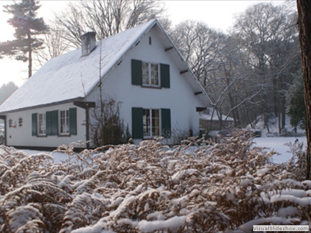 Winterwandeling - Foto 18