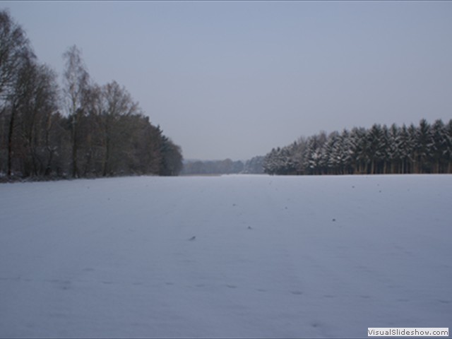 Winterwandeling - Foto 26