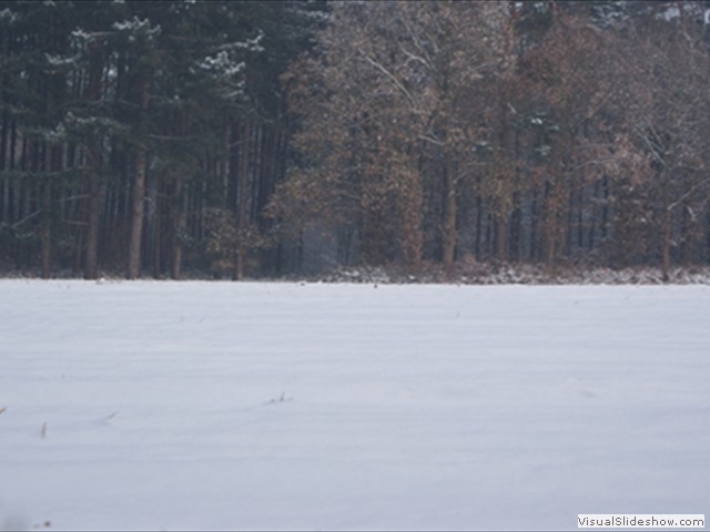 Winterwandeling - Foto 32