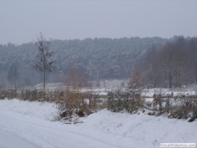 Winterwandeling - Foto 39