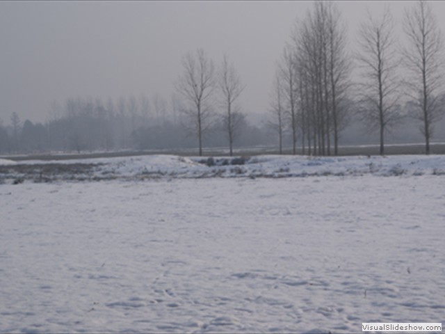 Winterwandeling - Foto 8