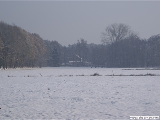 Winterwandeling - Foto 9
