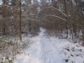 Winterwandeling - Foto 12