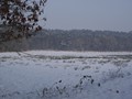 Winterwandeling - Foto 5