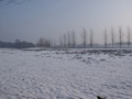 Winterwandeling - Foto 6