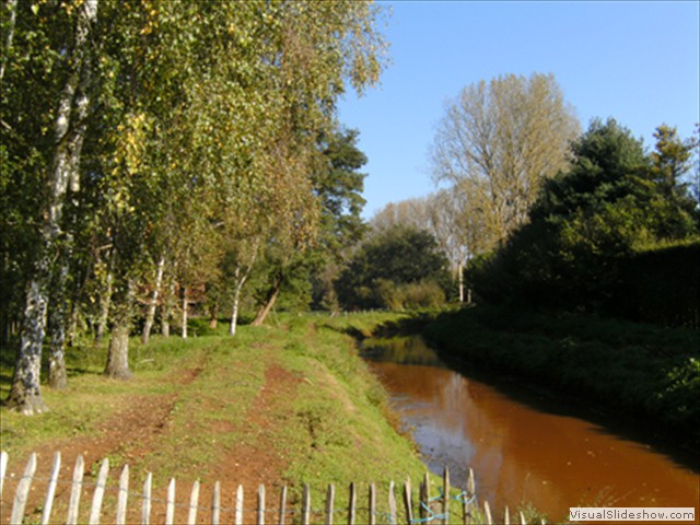 Zelem Herfstwandeling - Foto 1
