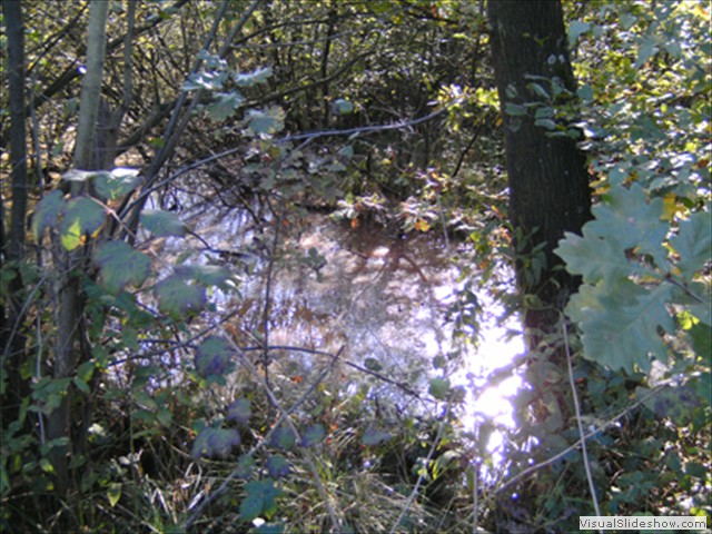 Zelem Herfstwandeling - Foto 5