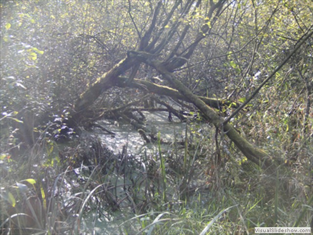 Zelem Herfstwandeling - Foto 7